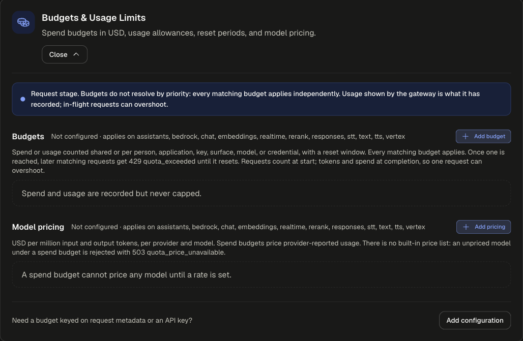Budgets & Usage Limits card expanded with the request-stage banner, an empty Budgets section, an empty Model pricing section and Add configuration