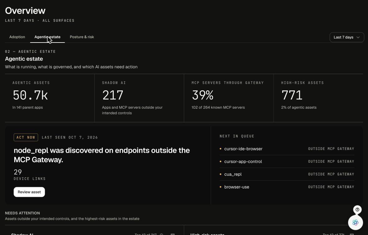 Console Overview, Agentic estate tab, showing agentic assets, shadow AI and MCP servers outside the gateway